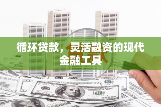 雨山循环贷款，灵活融资的现代金融工具