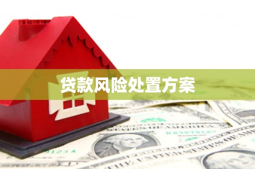南城贷款风险处置方案