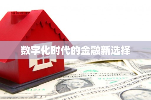 二水数字化时代的金融新选择
