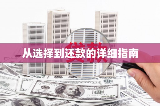 德令哈从选择到还款的详细指南
