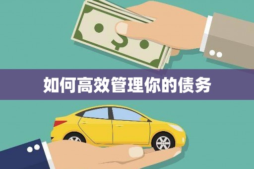 东兴如何高效管理你的债务