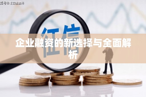 云林企业融资的新选择与全面解析