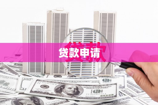 麦积贷款申请