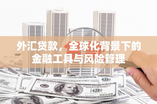屯门外汇贷款，全球化背景下的金融工具与风险管理